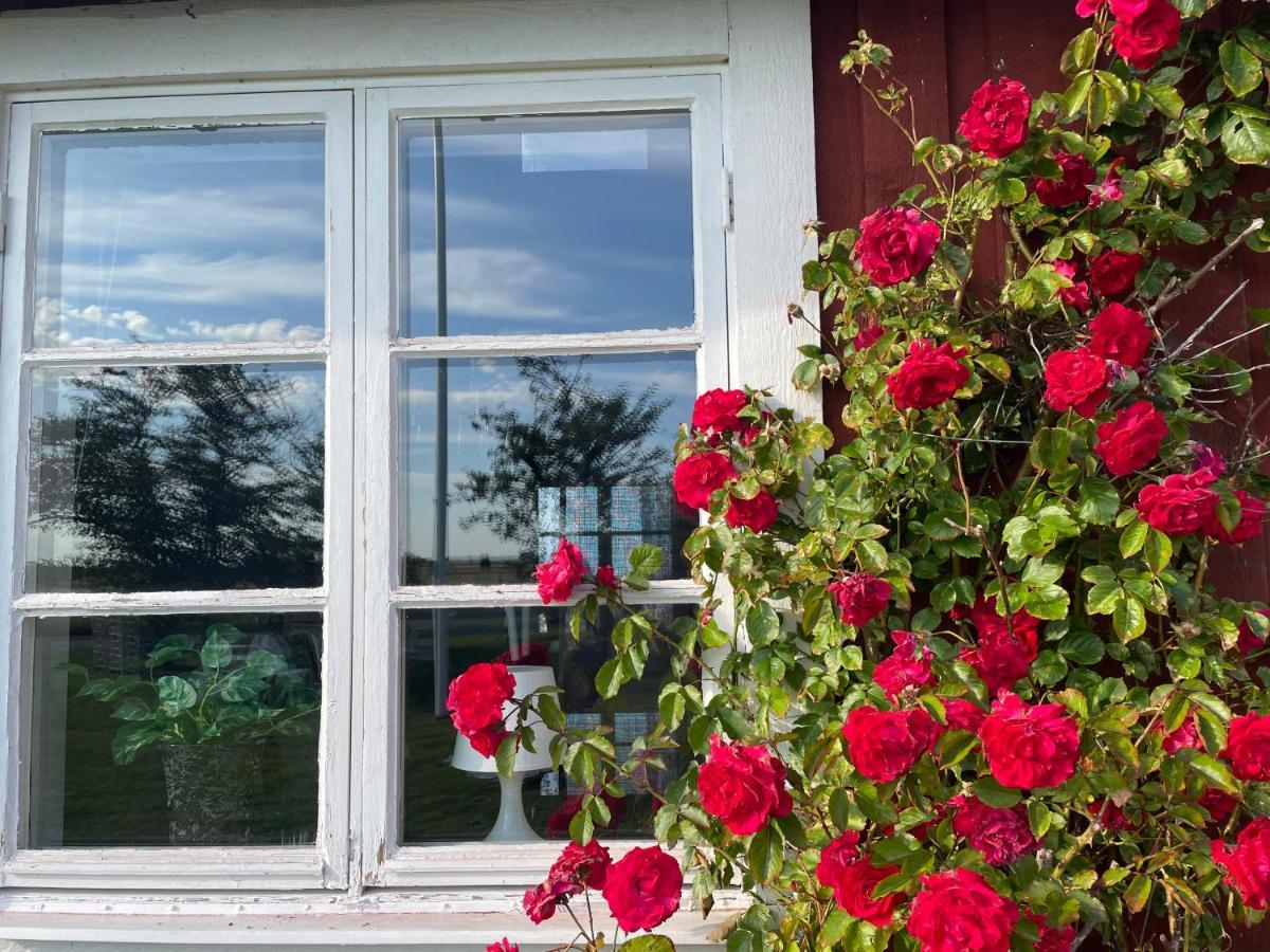 Köpingsvik Kapelludden Oestra Oeland 빌라 외부 사진