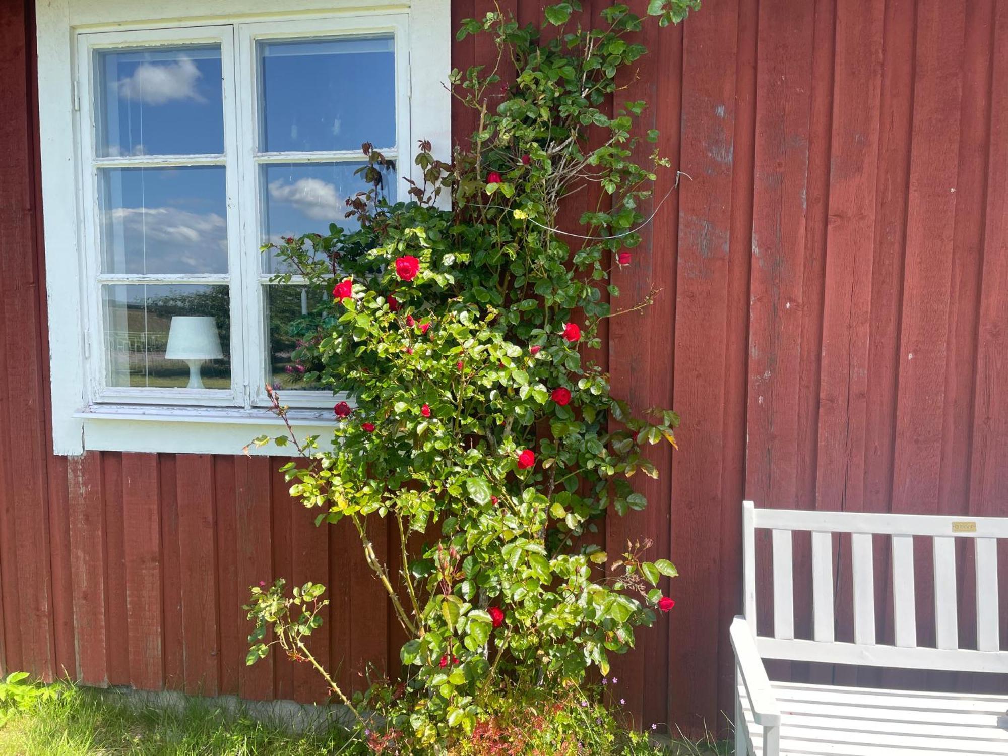 Köpingsvik Kapelludden Oestra Oeland 빌라 외부 사진